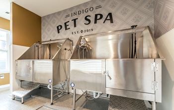 Pet Spa Area at Indigo Apartments, Gainesville, Georgia
